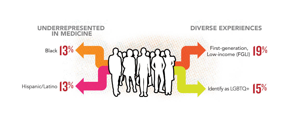 A silhouette of a group of people with the headers “Underrepresented in Medicine” on the left and “Diverse Experiences” on the right. Under the former, colorful arrows point to “Black – 13%” and “Hispanic/Latino – 13%”; under the latter, the arrows point to “First-generation, Low-income (FGLI) – 19%” and “Identify as LGBTQ+ – 15%”